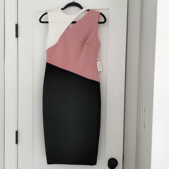 Alexia Admor Sleeveless Cut Out Neckline Color Block Scuba Knit Dress NWT Size S - Picture 1 of 6